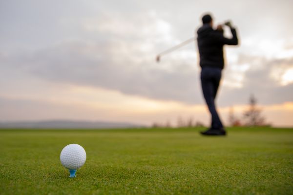 India Golf & Heritage Tour